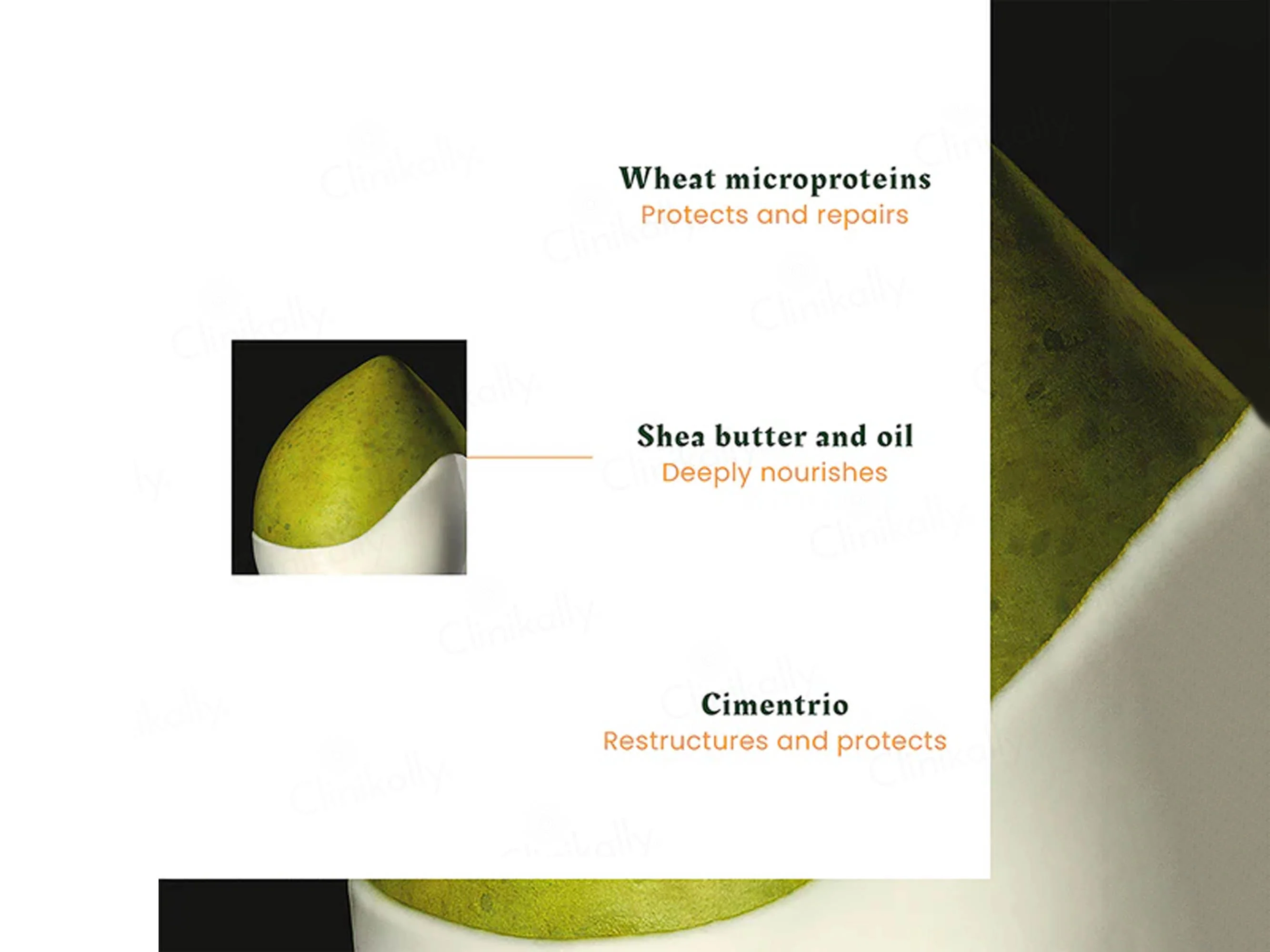 Rene Furterer Karite Nutri Intense Nourishing Day Cream - Image 5